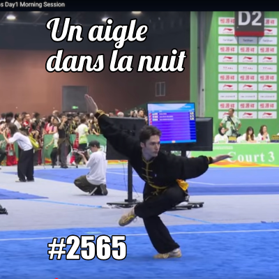 episode Un aigle dans la nuit artwork