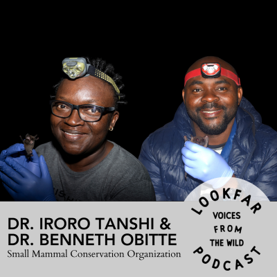 episode Bats, Fire, and Forests: A West African Conservation Story artwork