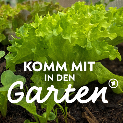 episode Mietbeete: Eine Saison Gemüse anbauen artwork