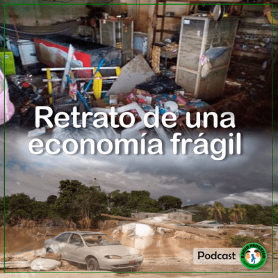 episode Retrato de una economía frágil - Radio Progreso artwork