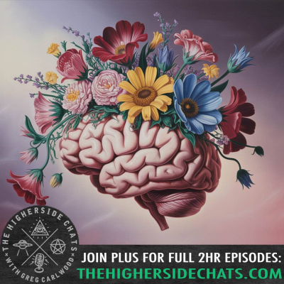 episode Dr. Kelly Brogan | Full Spectrum Health, Conspiracy Parenting, & Your Metaphysical Narrative artwork