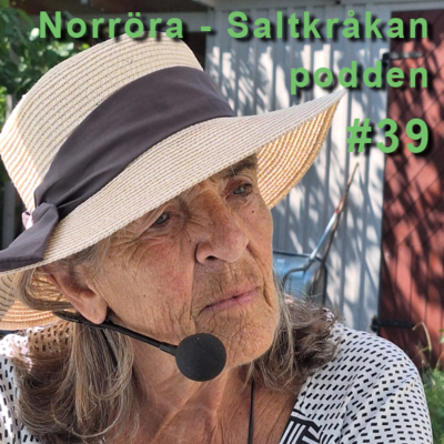 episode 39. Rödlöga – ön och byn i ytterskärgården artwork
