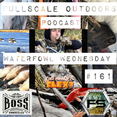 episode Waterfowl Wednesday #161 artwork