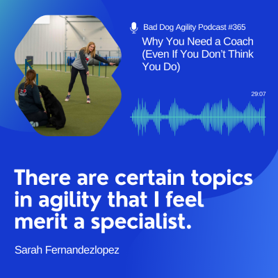 episode 365: Why You Need a Coach (Even If You Don’t Think You Do) artwork