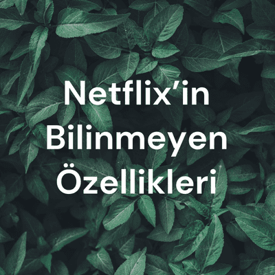 Netflix’in Bilinmeyen Özellikleri