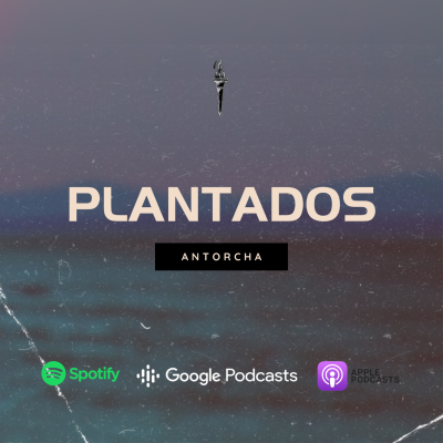 episode Plantados artwork