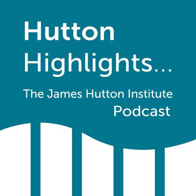 Hutton Highlights: