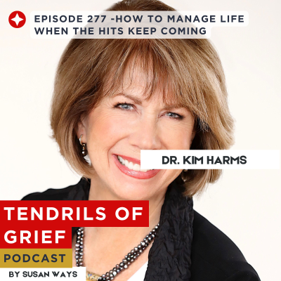 episode How To Manage Life When the Hits Keep Coming artwork