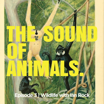 episode The Sound of Animals artwork