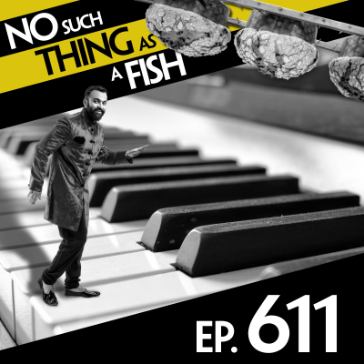 episode 611: No Such Thing As A Forbidden Panettone artwork