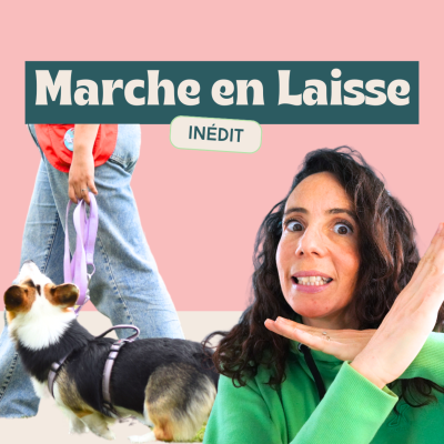 episode N'apprends surtout pas la MARCHE AUX PIEDS à ton chien ! artwork