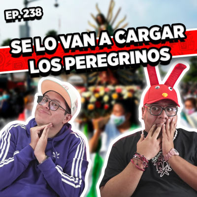 episode Episodio #238 / SE LO VAN A CARGAR LOS PEREGRINOS artwork