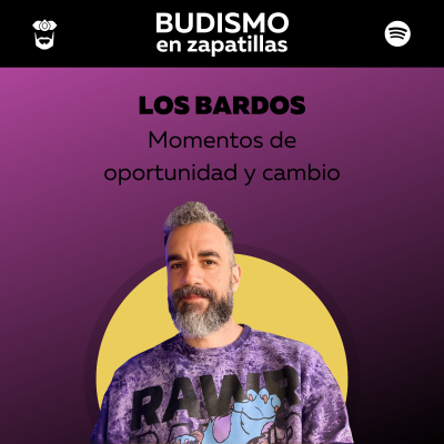 episode 242: BUDISMO SIMPLE - Los bardos artwork