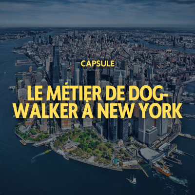 episode CAPSULE - Le métier de dog-walker à New York artwork