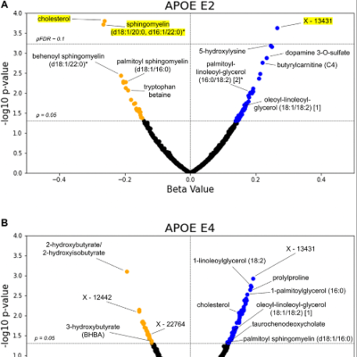 episode APOE Gene Variants Linked to Metabolic Signatures of Aging and Alzheimer's Risk artwork