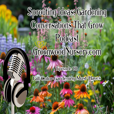 episode Episode 10 - Fall Color Garden Must Haves artwork