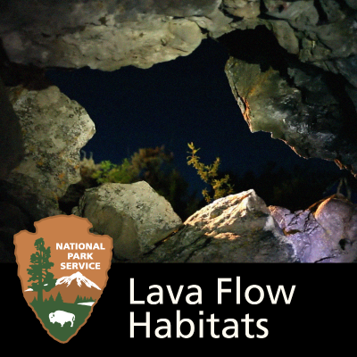 Billede af showet Lava Flow Habitats: The Wildlife and Geology of Craters of the Moon National Park