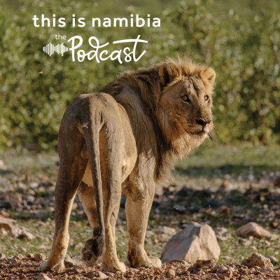 episode A journey into stillness and wonder at Ongava artwork