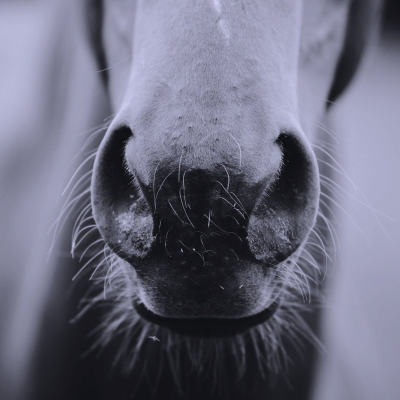 episode Episode 241 - Sorry to Bother You (Part 2) artwork