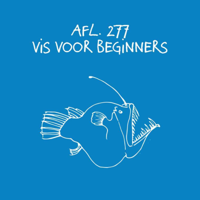 episode #277 - Vis voor beginners artwork