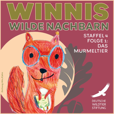 episode Staffel 4 / Folge 1 Das Murmeltier: Schrei-Alarm, Gruppen-Kuscheln und Kugel-Bauch artwork