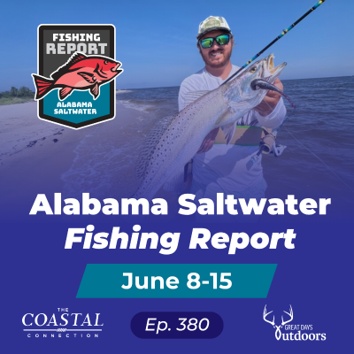 episode Gator Trout, Swordfish, Big Redfish and Snapper artwork