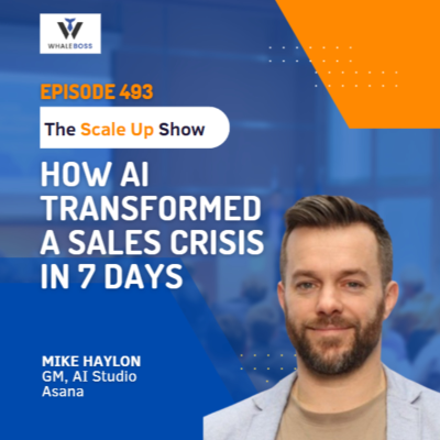 episode How AI Transformed a Sales Crisis in 7 Days artwork