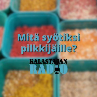 episode Mitä syötiksi pilkkijäille? artwork