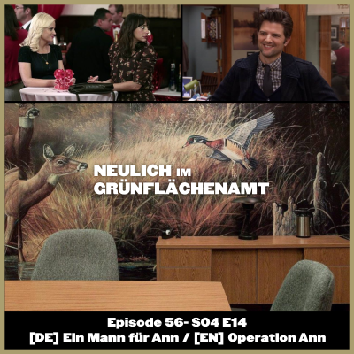 episode S04E14 - Operation Ann artwork