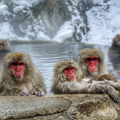 episode When the season is over, it's over artwork