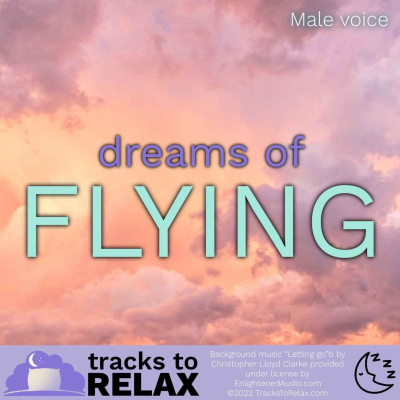 episode Flying Dreams - A Relaxing Guided Sleep Meditation artwork