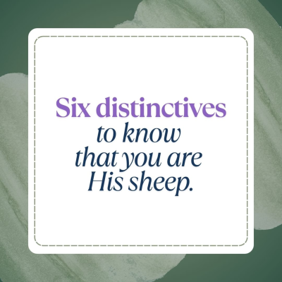 episode Six distinctives to know that you are His sheep artwork