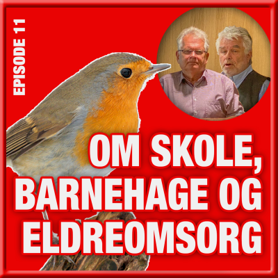 episode Rødstrupe episode 11: OM SKOLE, BARNEHAGE OG ELDREOMSORG artwork