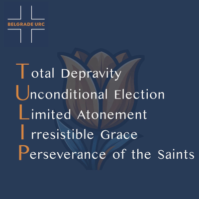 episode Introduction to The Canons of Dordt: Five Points of Calvinism artwork