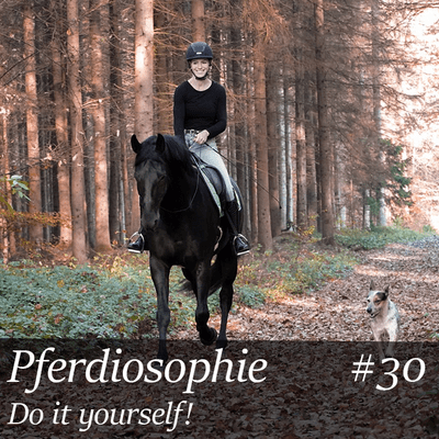 episode #30 Pferdiosophie: Do it yourself! artwork