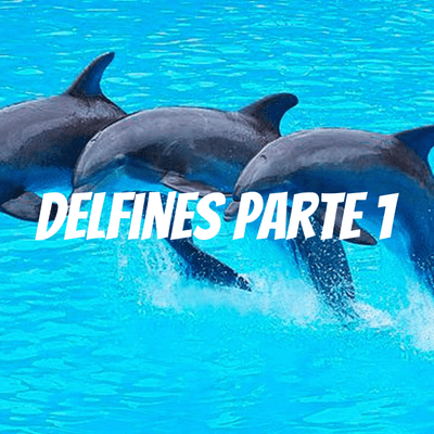 episode Delfines parte 2 artwork