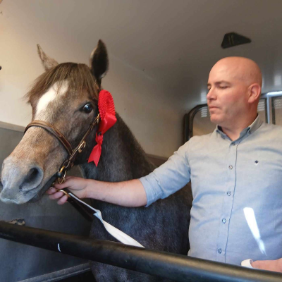 episode Ponies & People: A Day at the Midlands Stallion Parade artwork