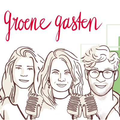 episode De niet-stemmer: probleem of bijzaak? artwork