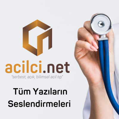 Billede af showet Acilcinin Sesi