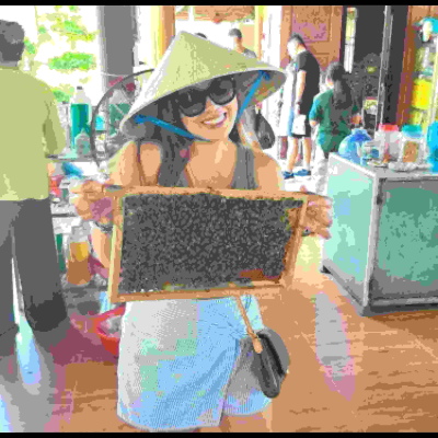 episode Bee Farms and Bamboo Pavilions: Delights of the Mekong Delta artwork