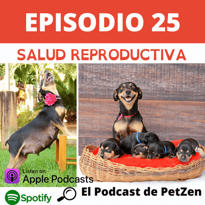 episode Episodio #25 Salud Reproductiva artwork