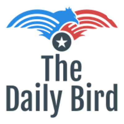 episode The Daily Bird April 1st artwork