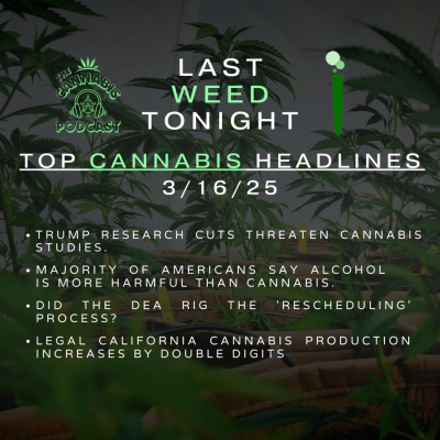 episode Top Cannabis News & Headlines w/ @PHiLOSOPHEEZ | The ‘CANNABIS’ Podcast artwork