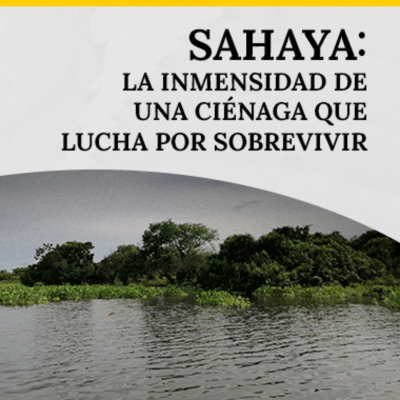 episode Sahaya: la inmensidad de una ciénaga que lucha por sobrevivir artwork