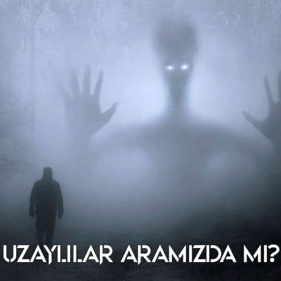 episode 10 - Uzaylılar Dünya’yı Ziyaret Etti Mi? (Karanlık Orman) artwork