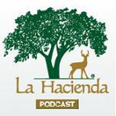 episode Dr. McCauley, MD - Addiction: Is it really a Disease? artwork