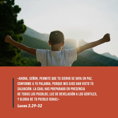 episode 76 Reflexiones - ¿Puedes ver la luz de navidad? (Lucas 2.29-32) artwork