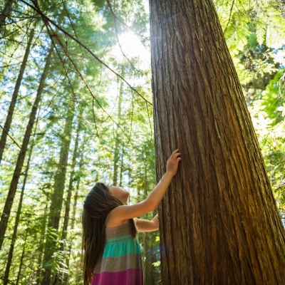 episode Tree, Myself and I: All about our leafy green friends artwork