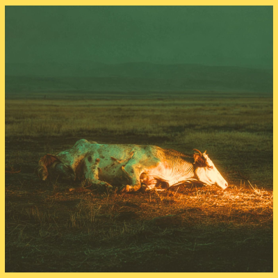 episode Silent Fields: The Horror of Oregon’s Ranchlands artwork