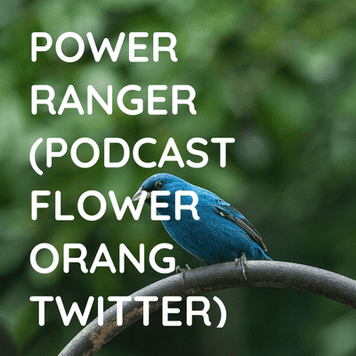 POWER RANGER (PODCAST FLOWER ORANG TWITTER)
